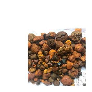 Calculs biliaires de bovins/calculs biliaires de vache à vendre en Europe à bas prix. - Product Image 3