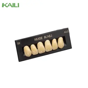 巨大的生产经典树脂牙齿系列凯丽，2层16 A-D色调牙科技师经济质量义齿