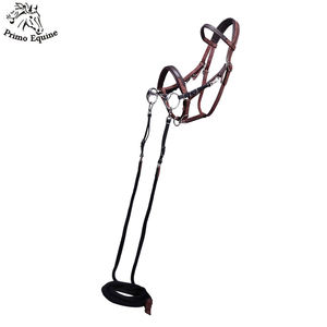 Brida Ecuestre de Cuero Puro de Alta Calidad con Nuevo Diseño, Logotipo Personalizado, Duradera, PRIMO EQUINE para Montar a Caballo - Product Image 2