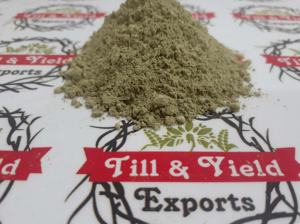 Extrait de Kalmegh, andrografis-paniculata, amère ntt, utilisations potentielles de Kalmegh pour protéger le fœtus - Product Image 4