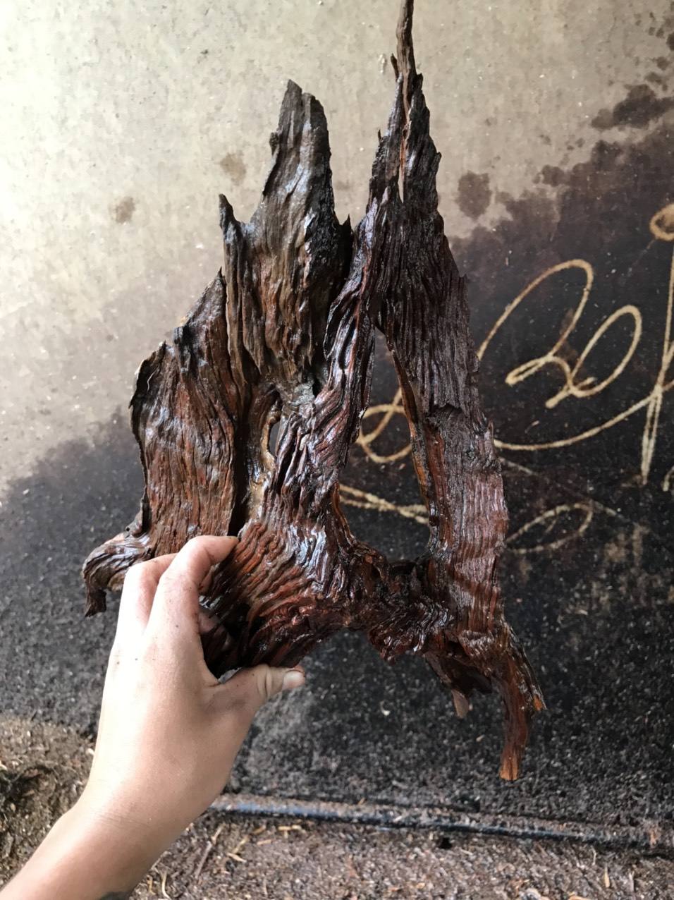 ธรรมชาติ