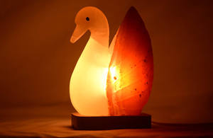 Lampes en sel de l'Himalaya en forme de canard Poli Sculpté Artisanat Naturel Ange Pyramide Styles Décoration de la Maison Coquillage Animal Disponible - Product Image 3