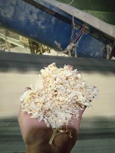 ขี้กบไม้/ขี้เลื่อยราคาดีสำหรับขาย - Product Image 3