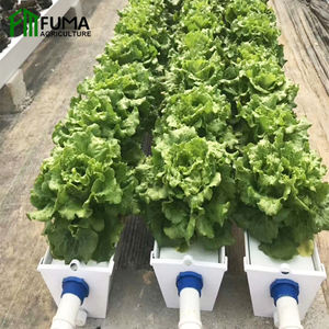 Nuevo Invernadero FM con Sistema de Aeroponía e Hidroponía, Agricultura Vertical para Vegetales, Frutas, Flores y Microgreens - Product Image 5