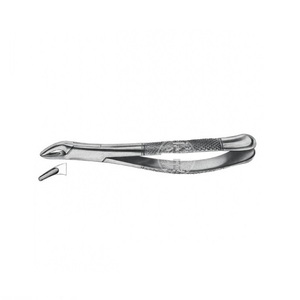 Tooth Forceps - Product Image 5