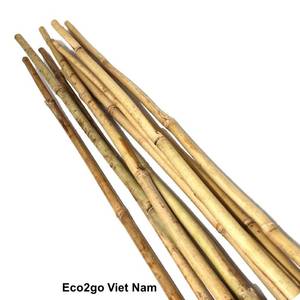 Bâtons de bambou 100% naturels, SUPPORT pour plantes et jardin du vietnam, prix le meilleur prix - Product Image 3