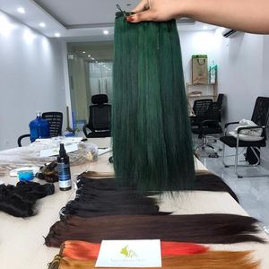 BAMBOO HAIR Top Quality Weft Hair Extension Vietnam human hair all color - Product Image 1