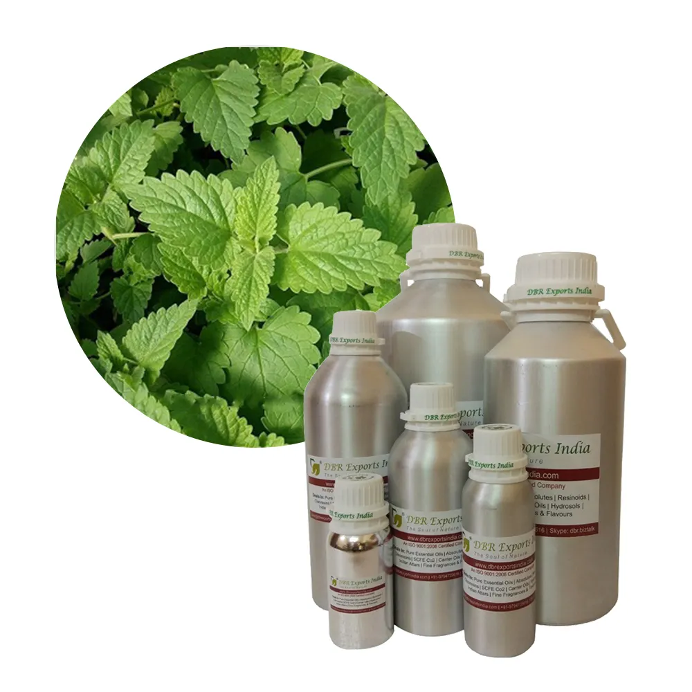 Produsen Minyak Lemon Balm Minyak Melissa Lemon Balm dengan Harga Grosir Minyak Esensial Melissa Lemon Balm Alami