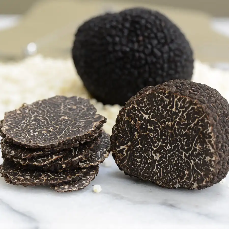 Wild Fresh White and Black Truffle Ready Stock for Export