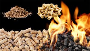 เม็ดไม้และเม็ดแกลบสำหรับน้ำมันเชื้อเพลิงราคาถูก - Product Image 3