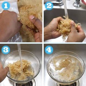 Musgo de mar NATURAL, Sven + 84 966722357 - Product Image 2