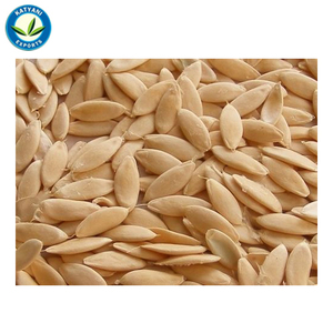 Precio al por mayor, OEM 100%, aceite esencial de semilla de pepino orgánico natural puro a granel, prensado en frío, fabricante y exportador - Product Image 2