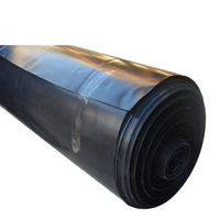 12 Mil 0.3mm d'épaisseur résistance aux UV HDPE géomembrane bâches en plastique pour l'aquaculture et la mine de queue