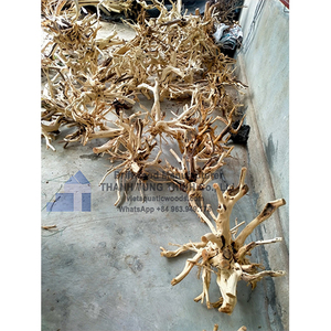 Top Tendance 2025 Aquarium Décoration Plantes Naturel Thanh Lieu Style Bois Flotté pour Aquatique En Gros - Product Image 3