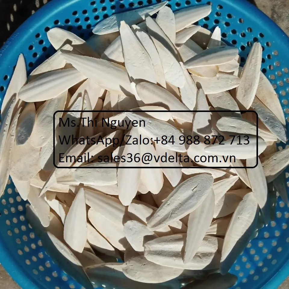 Bulk Pack/Blister Cuttlefish bone/ Cuttlebone For Birds and Reptiles/Mr. Kevin +84 968311314