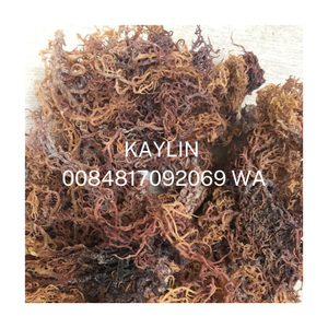 สาหร่ายมอสสีม่วงออร์แกนิกจากธรรมชาติ  คาร์ราจีแนนแห้งสำหรับดื่ม 0084817092069 WA 99GD - Product Image 5
