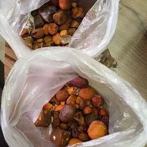 Pierres haltère de bœuf de qualité supérieure, support en pierres de convient aux animaux - Product Image 1