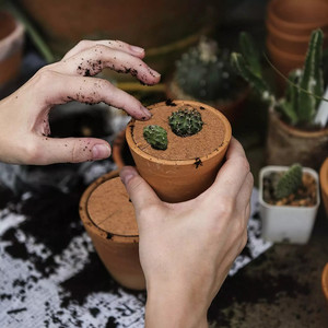 กระถางปลูกต้นมะพร้าวใยมะพร้าวแบบเส้นใยกลมสีน้ำตาล,กระถางปลูกต้นไม้สำหรับตกแต่งระเบียงจากเวียดนาม - Product Image 4