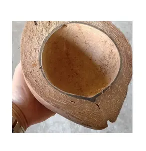 Coconut shell für kerze/Coconut shell leere für kerze (0084587176063 Whatsap Sandy)