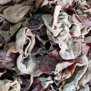 BEST SELLER VIETNAM MUSHROOMS Ms Laura - Product Image 1