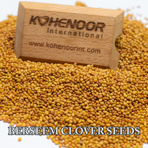 Trébol de Berseem |   Alto Contenido de Proteínas Grado A1 Vida Útil de 3 Años |   Kohenoor International para Granjas Lecheras - Product Image 1