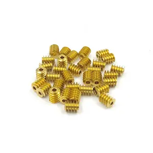 Nice Quality Precision OEM Brass Pinion Gear Worm Gear