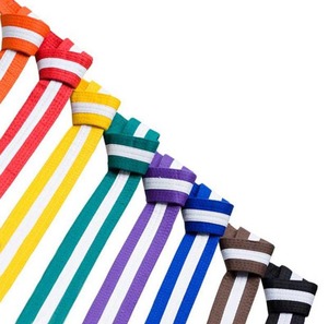Ceinture d'arts martiaux en coton écologique personnalisable (karaté, taekwondo, judo, BJJ, kung-fu) avec logo sur mesure, unisexe, vente en gros - Product Image 3