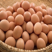 Blanc d'œuf frais de poulet de table, taille 40g-50g-60g-65g-70g