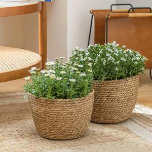Panier de jardinière en jonc de mer, pot de fleurs d'intérieur, fait à la main, offre spéciale, 100%, du Vietnam - Product Image 4