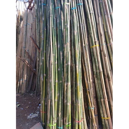 Grohandel Bambusstangen Bambusladen 12 Fu Bambusstangen  [Ws0084587176063]| Alibaba.com