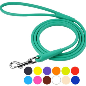 Rolled Leather Dog <b>Leash</b> - Product Image 1