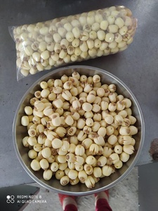 Bán buôn Hạt Giống Sen giá/khô trắng hạt sen/thiêng liêng sen + 84 947 900 124 - Product Image 6