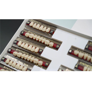 Denti in Resina Acrilica per Protesi Dentali di Alta Qualità, <span class=keywords><strong>Base</strong></span> per Protesi con Denti a 2 e 3 Strati - Product Image 4