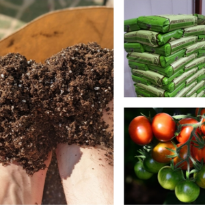 Sustrato con perlita - Product Image 2