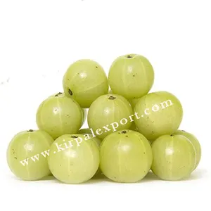 Natural Organic Real Triple Refined Amla Powder for Hair Conditioning Manufacturer