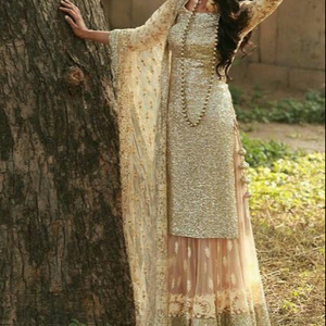 Classy Indian/Pakistani-Party-Wear-Stylish lehenga long top Dress with beautiful applique work for Party/ Wedding =2020 - Product Image 1