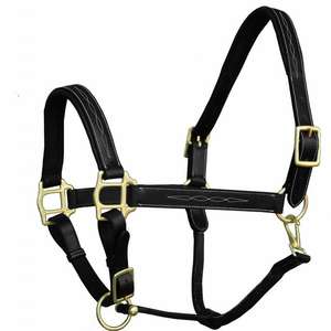 Dos de cheval six pièces fabriqué à la main en cuir noir fantaisie Style de selle occidentale personnalisé avec matériel en laiton Nylon PP PVC - Product Image 1