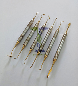 Juego de Instrumentos Quirúrgicos de Acero Inoxidable de Alta Calidad para Rellenos Dentales de Composite, Fuente de Alimentación Manual - Product Image 4
