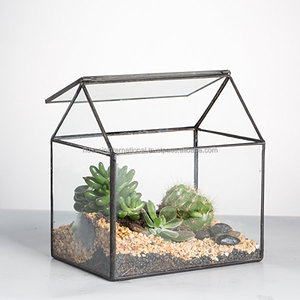 Décor à la maison Terrarium - Product Image 2