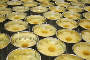 ส่งออกจำนวนมากกระป๋องสับปะรด/ขายส่งสับปะรดกระป๋องที่มีราคาที่ดีที่สุดนางสาวลูซี่ + 84 929 397 651 - Product Image 2
