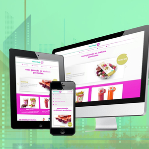 Business Website Design and Development Company in India | Best Website Design and Development Services by Webroot Infosoft - Product Image 3
