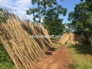 Vitracraft หลอดไม้ไผ่ใช้สำหรับดื่มแบรนด์เนมจากเวียดนามเป็นเวลานาน - Product Image 2