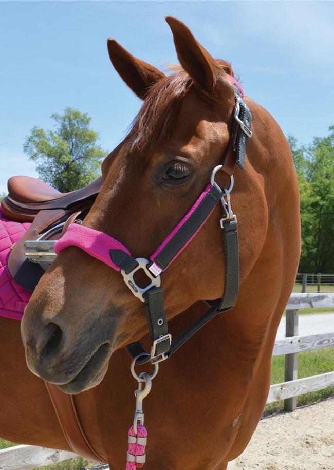 ตามที่แสดงในภาพ