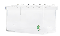 Fourmilière classique Empire Ants AG11, petite, en plastique écologique, fournitures pour fourmis, observation facile, zone d'alimentation (14,5x8,5x8,5cm)