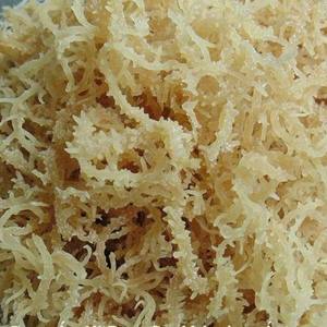 Haute qualité algues EUCHEUMA COTTONII-HELEN + 84374288086 - Product Image 2