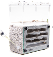Formicarium d'observation classique AD2 en plastique écologique pour l'élevage des fourmis, Nid de fourmis, Terrarium pour fourmis, 14x8.5x18.5cm