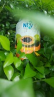Groothandel NPV Merk 330ml blikje gearomatiseerd papajajuice - puur natuurlijk, geen concentraat, frisse frisdrank - OEM Private Label