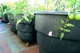 กระถางต้นไม้โลหะสีสันสดใส,อุปกรณ์ตกแต่งบ้านและสำนักงาน - Product Image 5