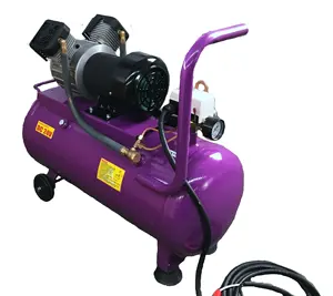 12V High Efficiency Weatherproof Long Duty Cycle DC Oil free Twin Piston Powerful Truck Air Compressor Pump with 50 liter tank
