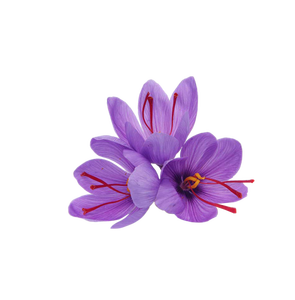 Cachemire Mongra Safran Exportation Qualité Brut Séché Herbe Fleur Épice Beauté Santé Complément Safran Pot Séché Ad Carthame - Product Image 2